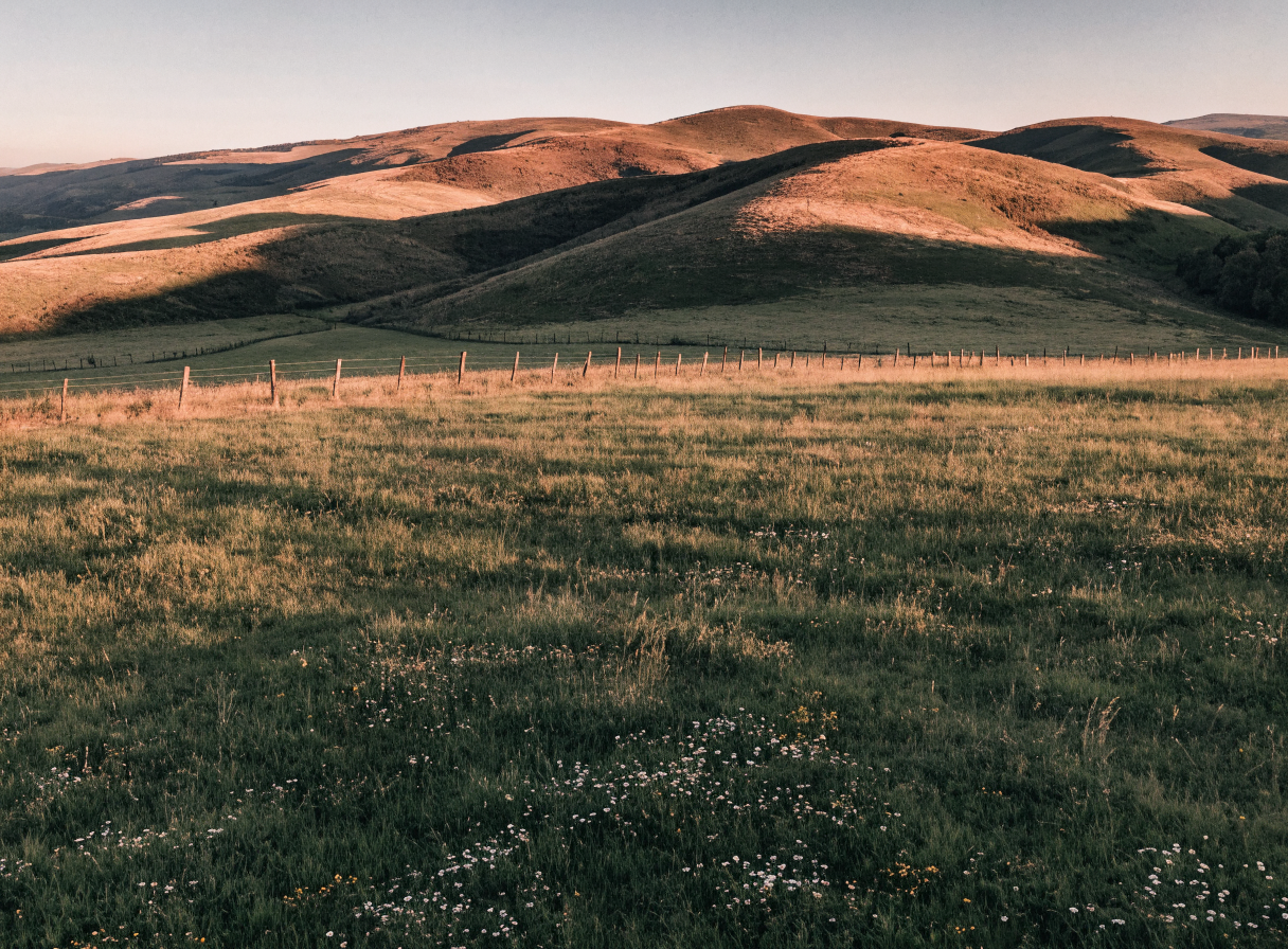 Pozemky — stavební pozemky a zahrady